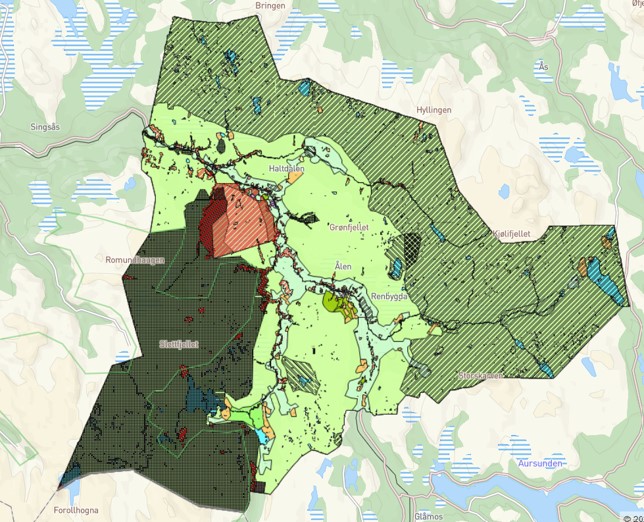 Bilde av kart tilhørende kommuneplanens arealdel for Holtålen kommune.