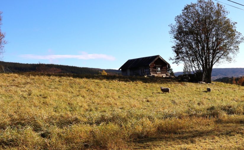 Støttekontakt søkes